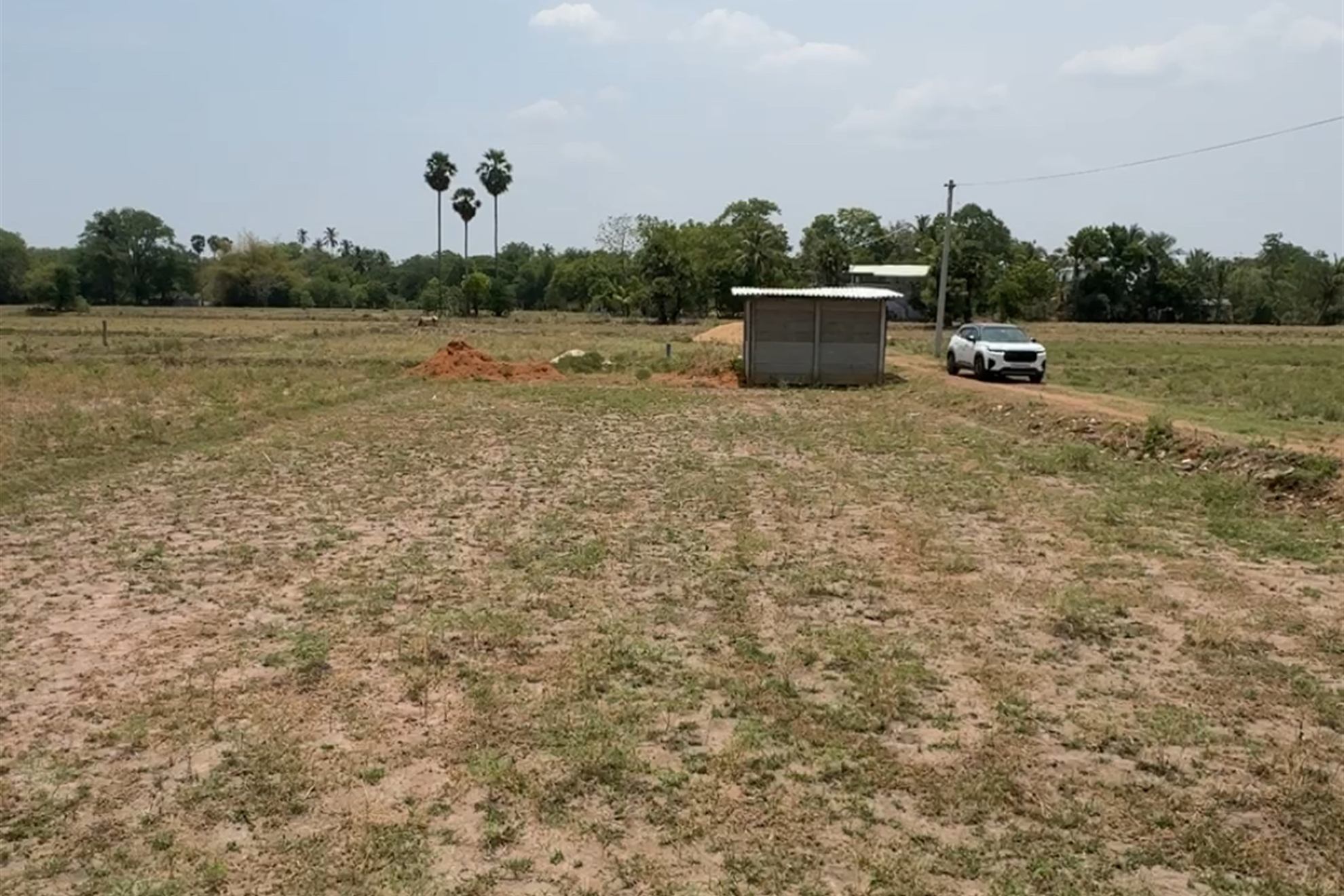 Levelled residential plot with a boundary marker in the foreground, palmyra trees and a site office along the far edge
